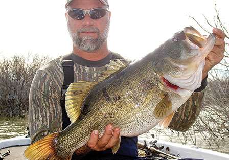 <strong>Bryan Jones</strong>
<p>
	10 pounds, 13 ounces<br />
	Falcon Lake, Texas<br />
	flipping tube (perch)</p>
