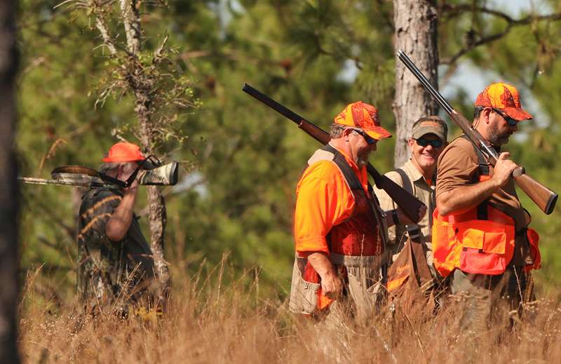 Guides kept the hunts organized and fresh dogs on the ground. 