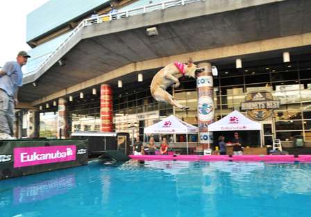 Bill Goens' dog Rainey leaps during practice for the Dock Dogs competition Saturday outside of the New Orleans Arena.