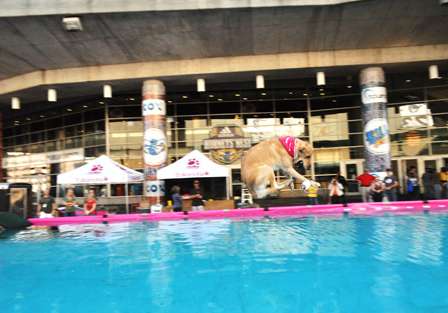 Bill Goens' dog Rainey leaps during practice for the Dock Dogs competition Saturday outside of the New Orleans Arena.