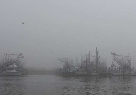 Shrimp boats at Venice marina sit idle as dense fog rolls through.