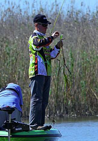 Chapman's crankbait snagged a submerged cane.