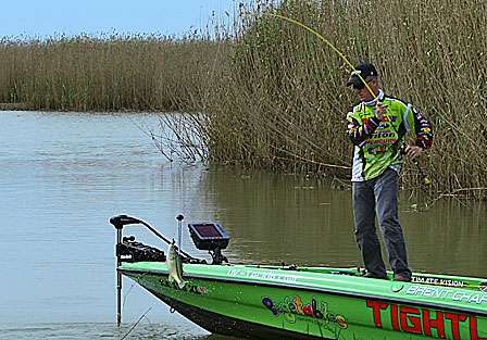 With a shorter fog delay on Day Three, Chapman had almost four hours to fish, his longest fishing day of the Classic.