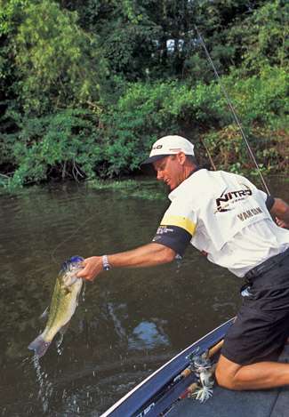 VanDam hauls in a fish during the 2001 Classic on the Louisiana Delta.