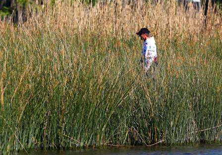 Evers trolls slowly through the head-high bulrushes, but can't see Scroggins fishing nearby. 