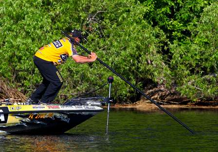 Scroggins spots another bass on a bed and leans into his push pole to stop the forward momentum of the boat. 