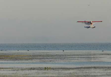 A seaplane flies by over the eelgrass.