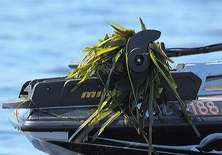 Eelgrass created situations requiring the dreaded trolling motor tug.