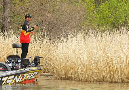 Kevin VanDam pitches into tules.