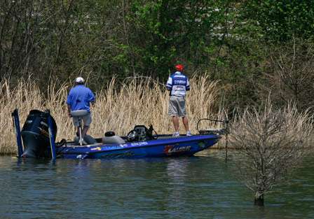 Jones flips to shoreline reeds while searching for a big bass on a bed to help him cull.