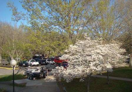Dogwood trees are in full bloom at Barren River State Park.