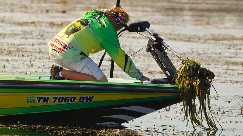 <p>
	Eelgrass was an issue on St. Johns, where anglers like J Todd Tucker kept yanking up trolling motors wrapped with it.</p>
