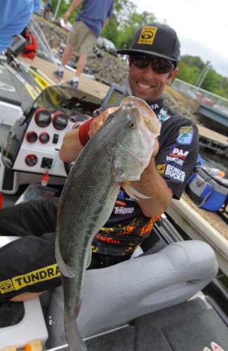 <p>
	While the top two âlongest limit streaksâ are history, Michael Iaconelli is enjoying a current limit streak of 44 days, and shows no sign of slowing down.</p>
