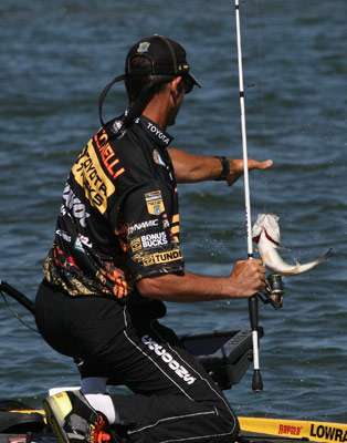 <p>
	Iaconelli swings a small keeper largemouth over the front of the boat.</p>
