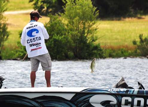 <p>
	This chunky largemouth will help Ashley move closer to winning the tournament.</p>
