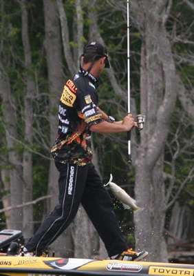 <p>
	Another bass flies into the boat only to be quickly tossed back.</p>
