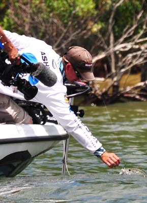 <p>
	Ashley reaches out for this good-sized keeper largemouth on Day Four.</p>
