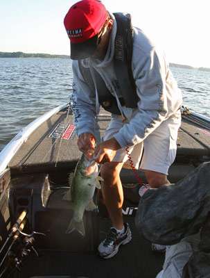 <p>
	This solid 2.5-pound Lake Murray bass inhaled Eversâ Money Minnow.</p>

