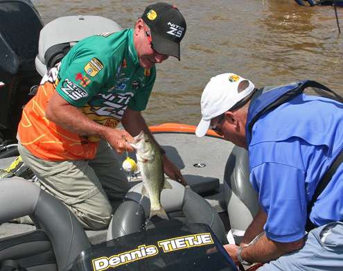 <p>
	Dennis Tietje pulls a nice largemouth out of the livewell on Friday.</p>
