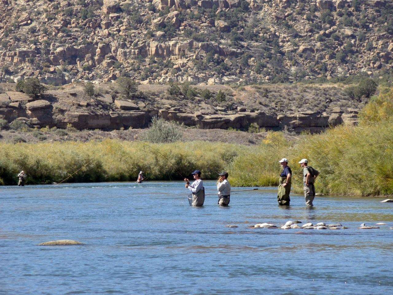 <p>
	The San Juan River provides a year-around fishery for trout.</p>
