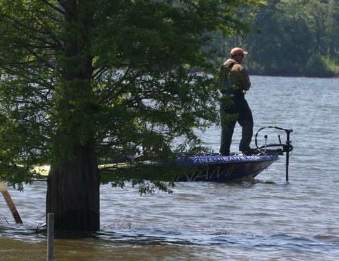 <p>
	Steve Kennedy is partially obscured by a cypress tree as he fishes on West Point Lake.</p>
