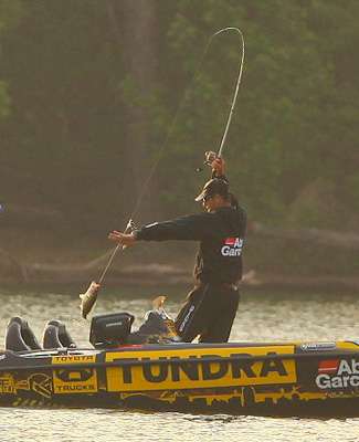 <p>
	Iaconelli finishes the fight as he swings the fish into the boat.</p>
