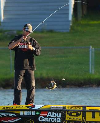 <p>
	Iaconelli pulls the small bass aboard his boat.</p>
