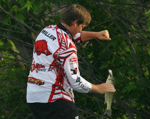 <p>
	Miller grabs the bass and attempts to retrieve his bait.</p>
