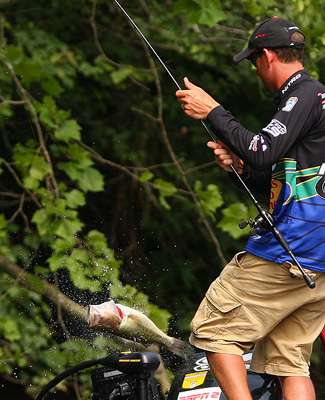 <p>
	 </p>
<p>
	Defoe will need more bass like this one to make a charge at the lead. </p>
