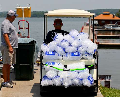 <p>
	Tons of ice was on hand to help with fish care on a very hot Tennessee afternoon.</p>
