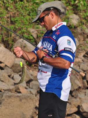 <p>
	Dave Wolak boats a small keeper.</p>
