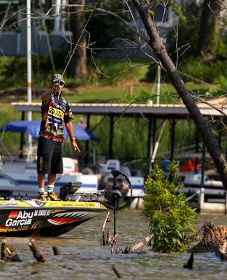 <p>
	Iaconelli makes a pitch with a drop bait to a row of stumps.</p>
