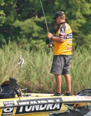 <p>
	This was a double on one crankbait for Terry Scroggins, but neither were keepers.</p>
