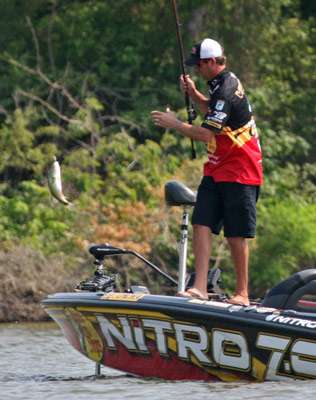 <p>
	VanDam swings this fish into the boat and hopes it measures the 15-inch minimum.</p>
