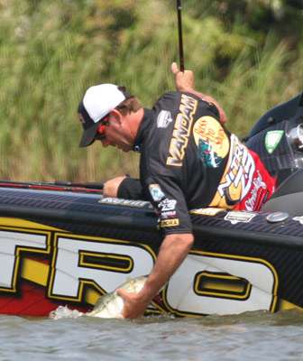 <p>
	Kevin VanDam reaches down to belly his best largemouth of the day.</p>
