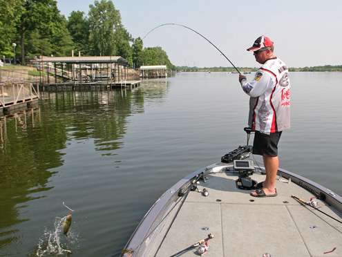 <p>
	John Murray swings a bass into the boat on the Arkansas River.</p>
