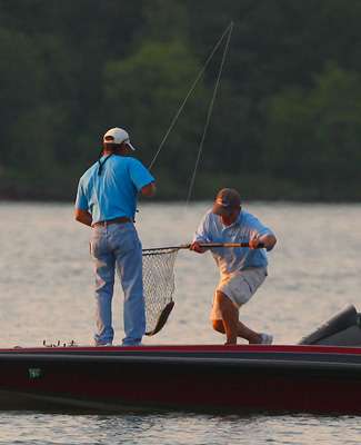 <p>
	Fergusonâs co-angler, Kibbee McCoy nets the fish. </p>
