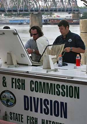 <p>
	 </p>
<p>
	Members of the Arkansas Game and Fish Commission take care of the fish, which would be released back into the river.</p>
