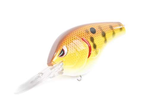 <p>
	<strong>Spro: Big Daddy</strong></p>
<p>
	Russ Lane designed this crankbait with a fat body to give it a different look than most deep-diving crankbaits. It's also silent, which Lane says is effective when fish have been pressured by the rigors of a long tournament day. It's what he calls a "tournament bait."</p>
