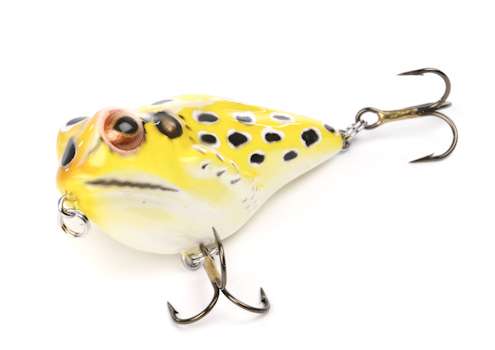 <p>
	<strong>Rebel: FrogR</strong></p>
<p>
	This year marks Rebel's 50th anniversary. The FrogR is a short walking bait that has a deep "keel" in the front for highly responsive walking action.</p>
