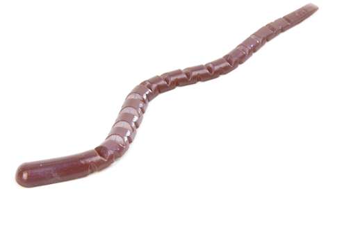 <p>
	<strong>Nojo's: Worm</strong></p>
<p>
	This segmented worm is touted as the original serpent worm. They come in</p>
<p>
	4 1/2, 6- and 9 1/2-inch sizes but can be customized by removing several of the body segments. They're hand-poured which means the color selection is wide and the action is soft and supple.</p>
