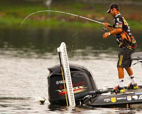 <p> 	A fish attempts to wrap Iaconelliâs line around the motor. </p> 