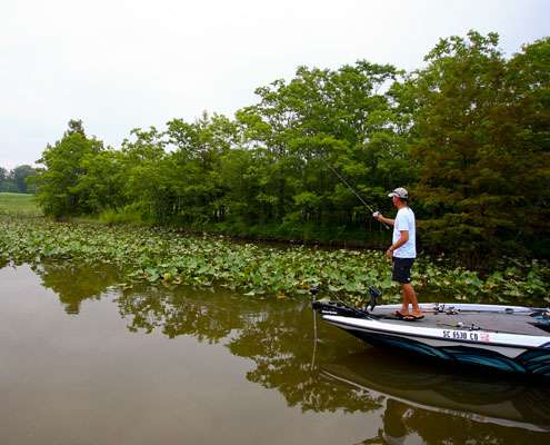 <p>
	Ashley works his way down a line of lily pads. </p>
