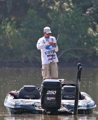 <p>
	 </p>
<p>
	Another short fish gets pulled in off the dock.</p>

