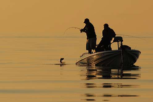 <p>
	This duo and a nice bass make for a remarkable silhouette on Lake Erie.</p>
