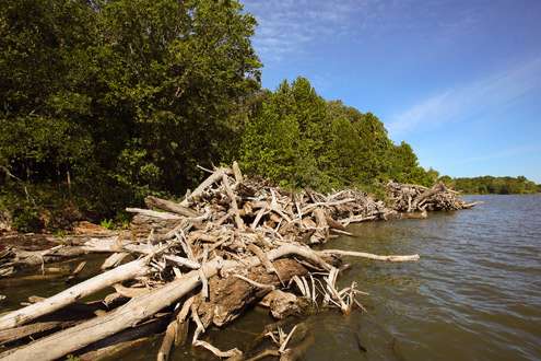 <p>
	 Huge logjams were evidence of powerful floods along the Arkansas River Valley. </p>
