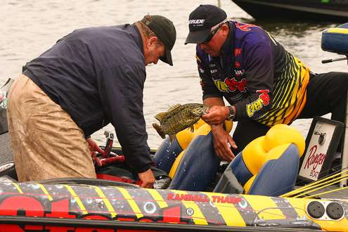 <p>
	Randall Tharp bags a nice smallmouth before heading to the Day Two weigh-in.</p>
