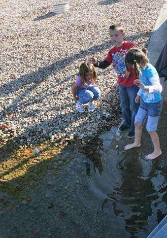 <p>
	Kids will be kids. Nick, 9, and Mariah, 7, along with friend Robbie Jean, 8, toss rocks at the shore while waiting for their dad, angler Andy Price, to weigh in.</p>
