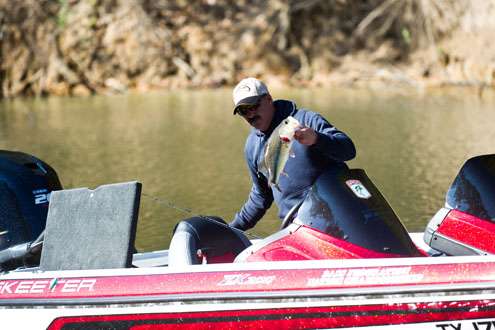 <p>
	 </p>
<p>
	Diaco hopes this fish will help him stay in 1<sup>st</sup> place in the Eastern Division.</p>
