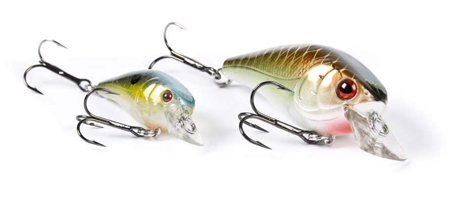 <p>
	<strong>$6 TO $50</strong></p>
<p>
	<strong>Luck âEâ Strike RCÂ²</strong></p>
<p>
	This crankbait is the only one that Rick Clunn is willing to put his name on. This silent square bill is available in four sizes and more than 20 colors. <a href=
